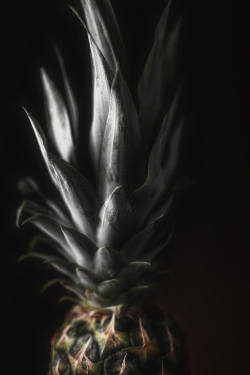 Ananas Portrait