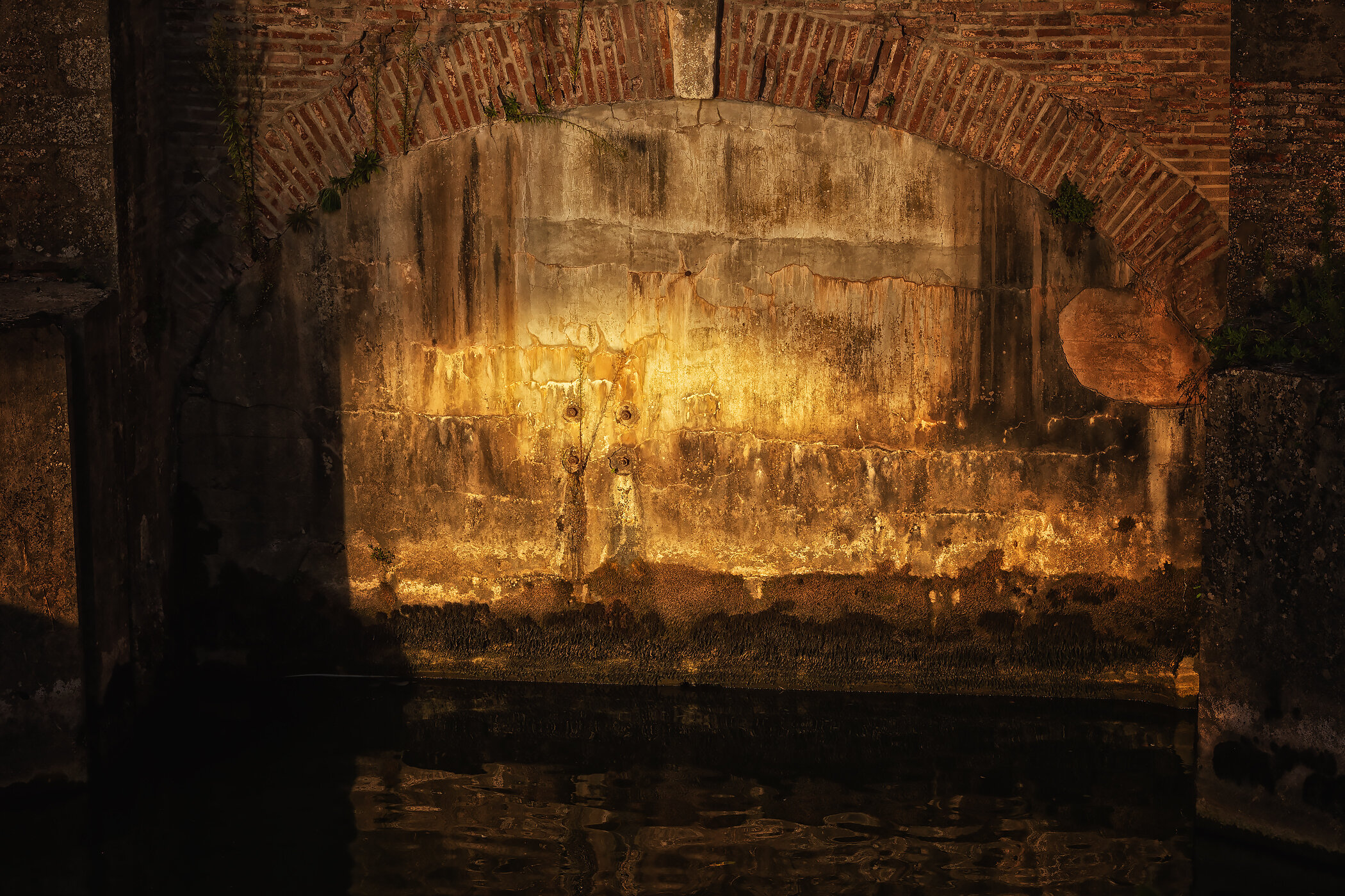 ALBI_154.jpg