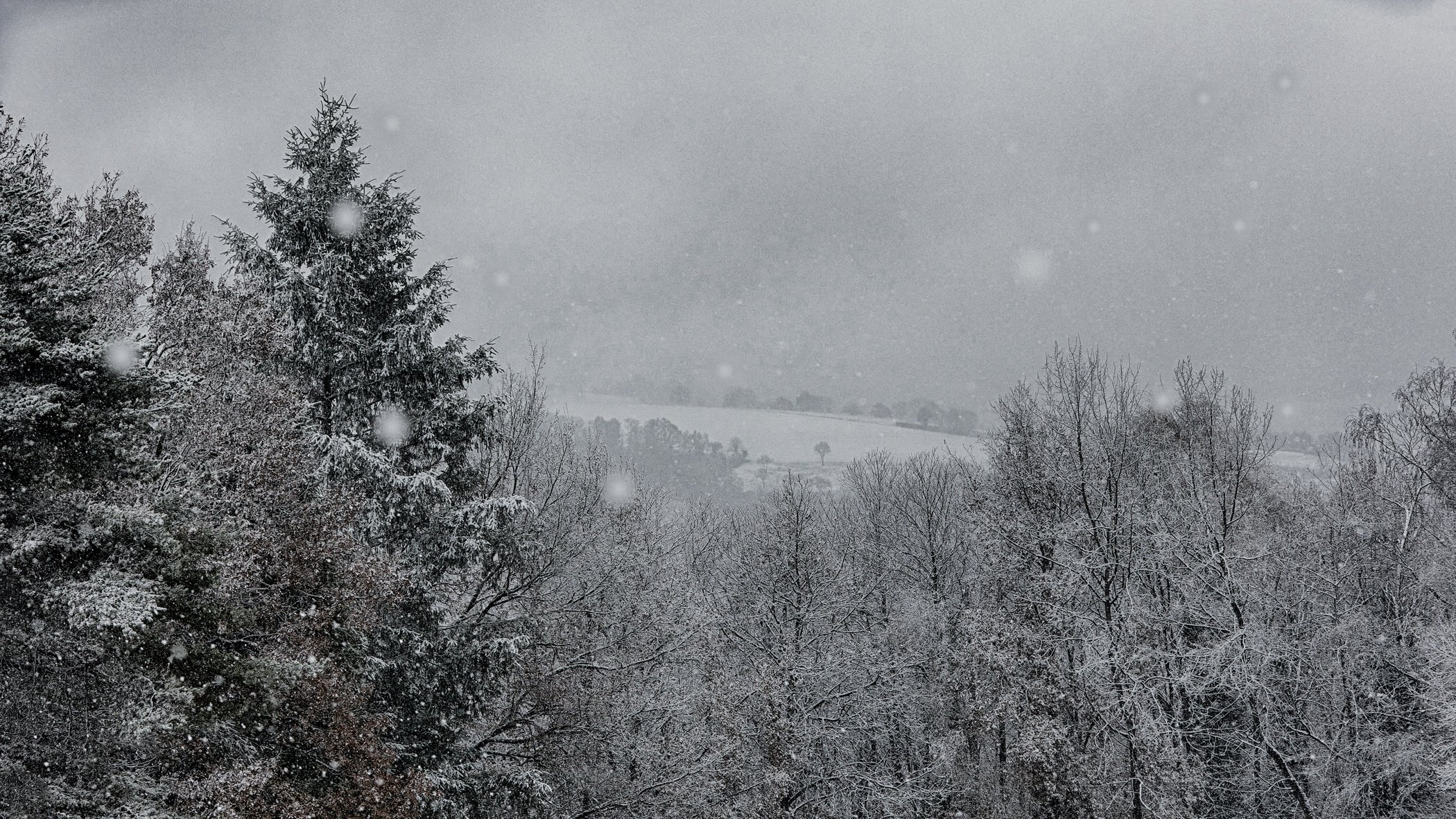 Snow landscape