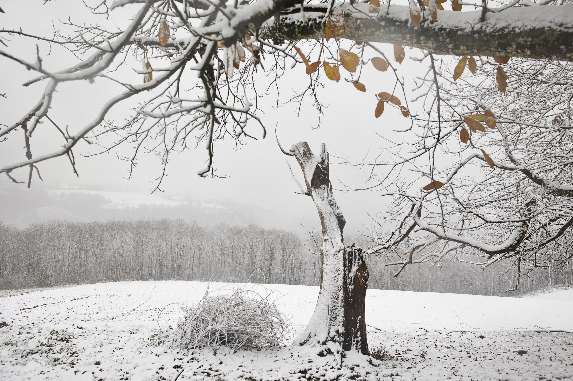 Paysage hivernal – Motifs de paysages