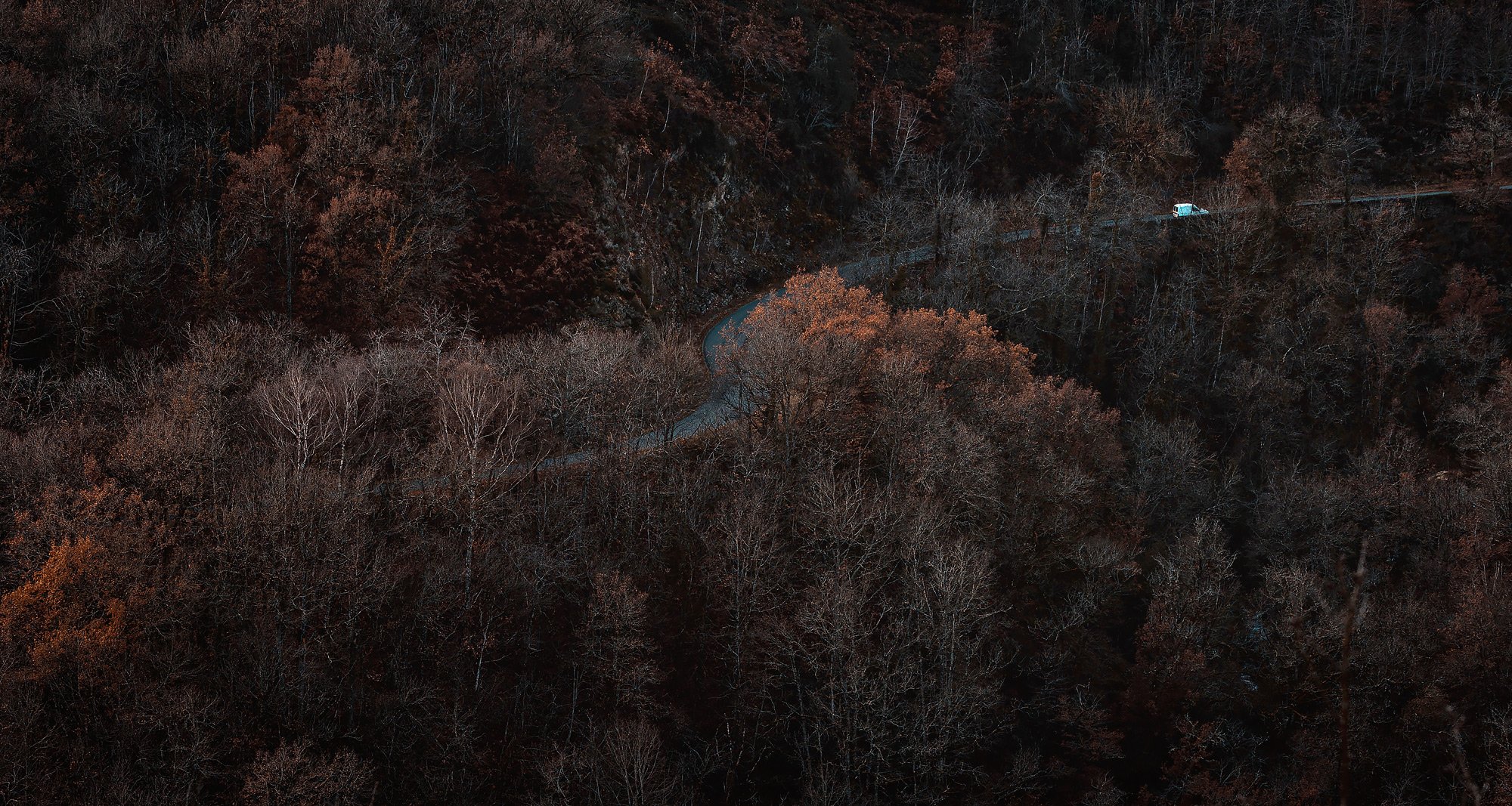 Dunkler Wald im Herbst mit Straße