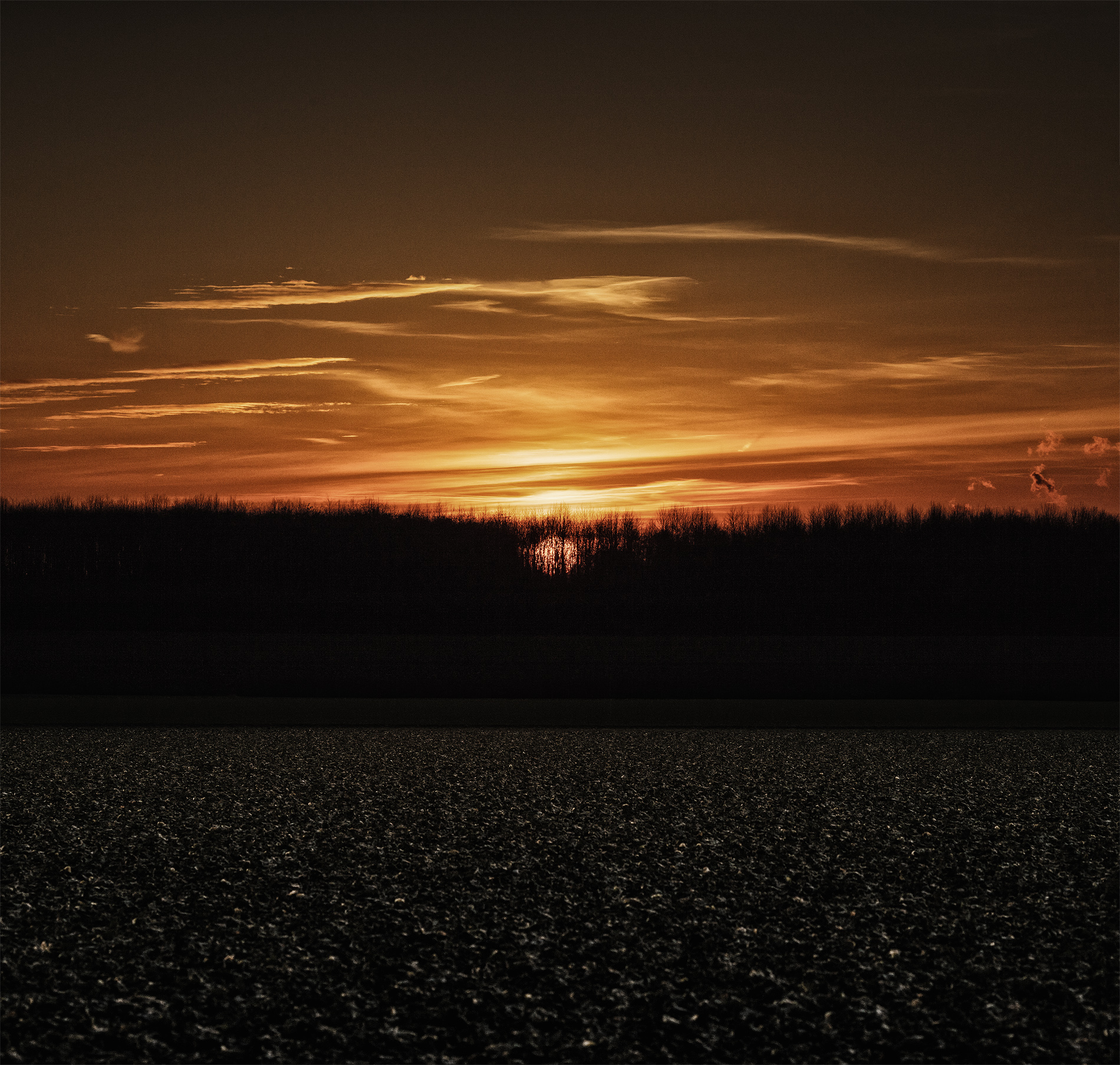Fine Art Landscape - Sonnenuntergang über den Feldern - 4310
